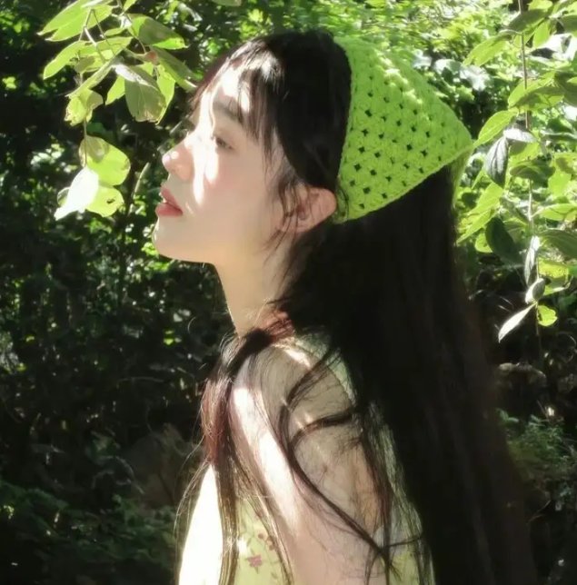 父仇者